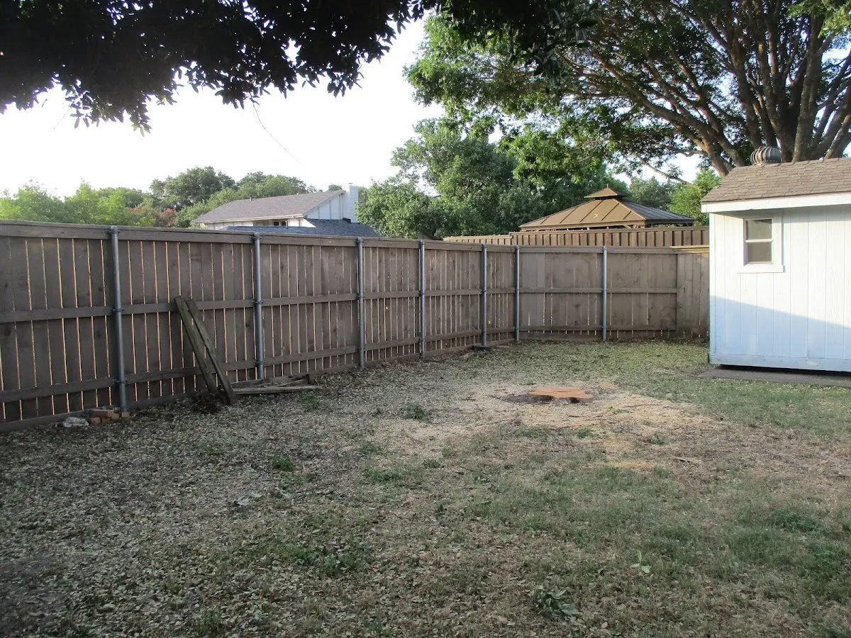 Cleared yard after professional tree removal in Mundelein